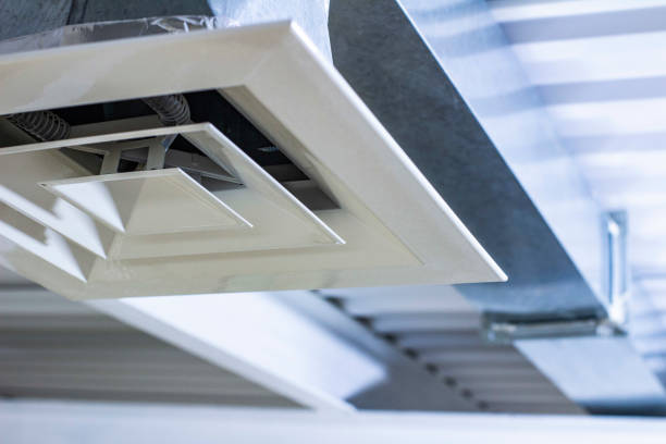 Best Air Duct Mold Removal  in Forest Meadows, CA
