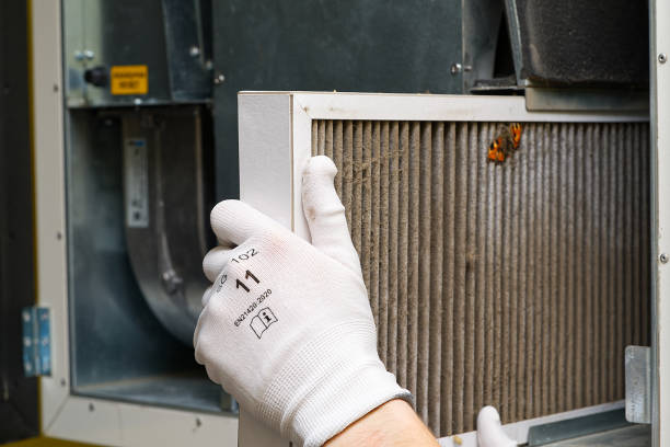 Best Professional Duct Cleaning Services  in Forest Meadows, CA