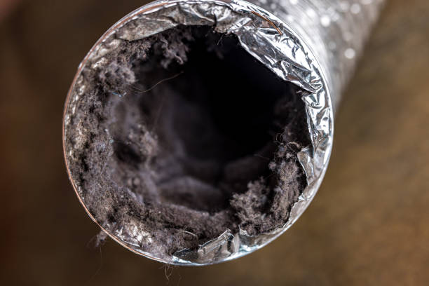 Best HVAC System Cleaning  in Forest Meadows, CA
