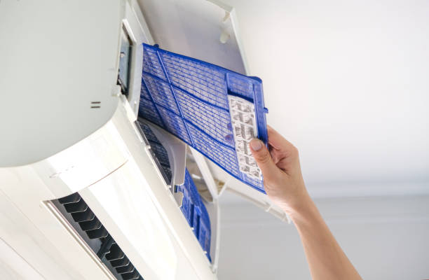 Best Ductwork Cleaning Services  in Forest Meadows, CA