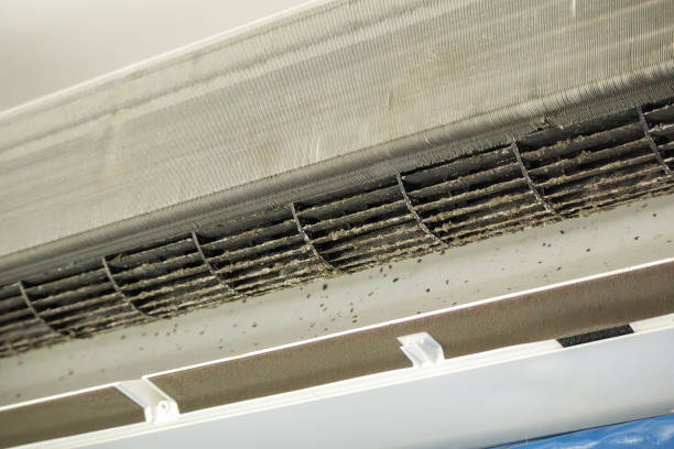 Best Air Duct Cleaning Near Me  in Forest Meadows, CA