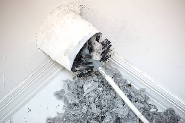 Best Ductwork Cleaning Services  in Forest Meadows, CA